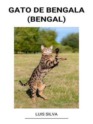 cover image of Gato de Bengala (Bengal)